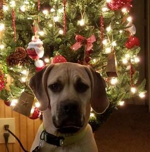 Meet your Posher, Linda